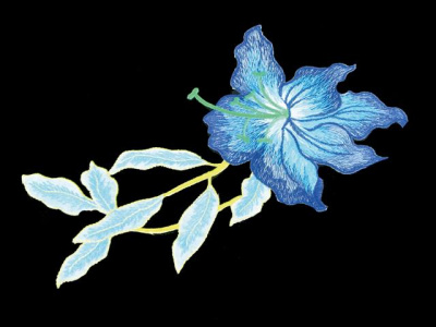 Лейсы Chrisanne Embroidered Flower Motif Blue Green